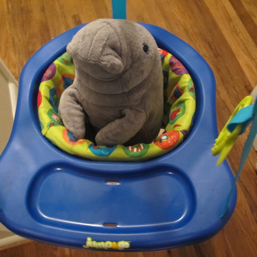 Image of a toy walrus in a baby walker