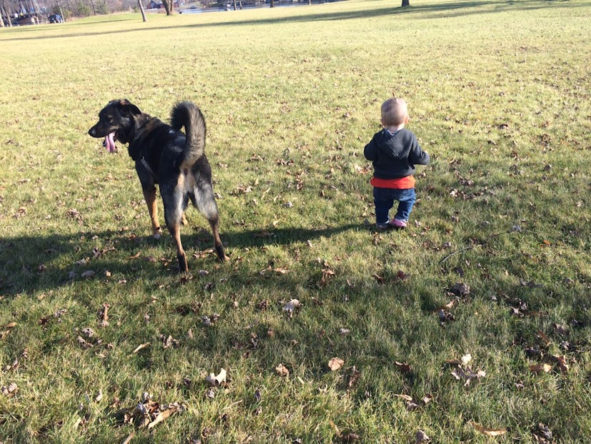 A toddler playing with his dog outdoors 
