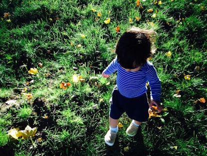 A little kid is walking through a grass field on a sunny autumn day. 