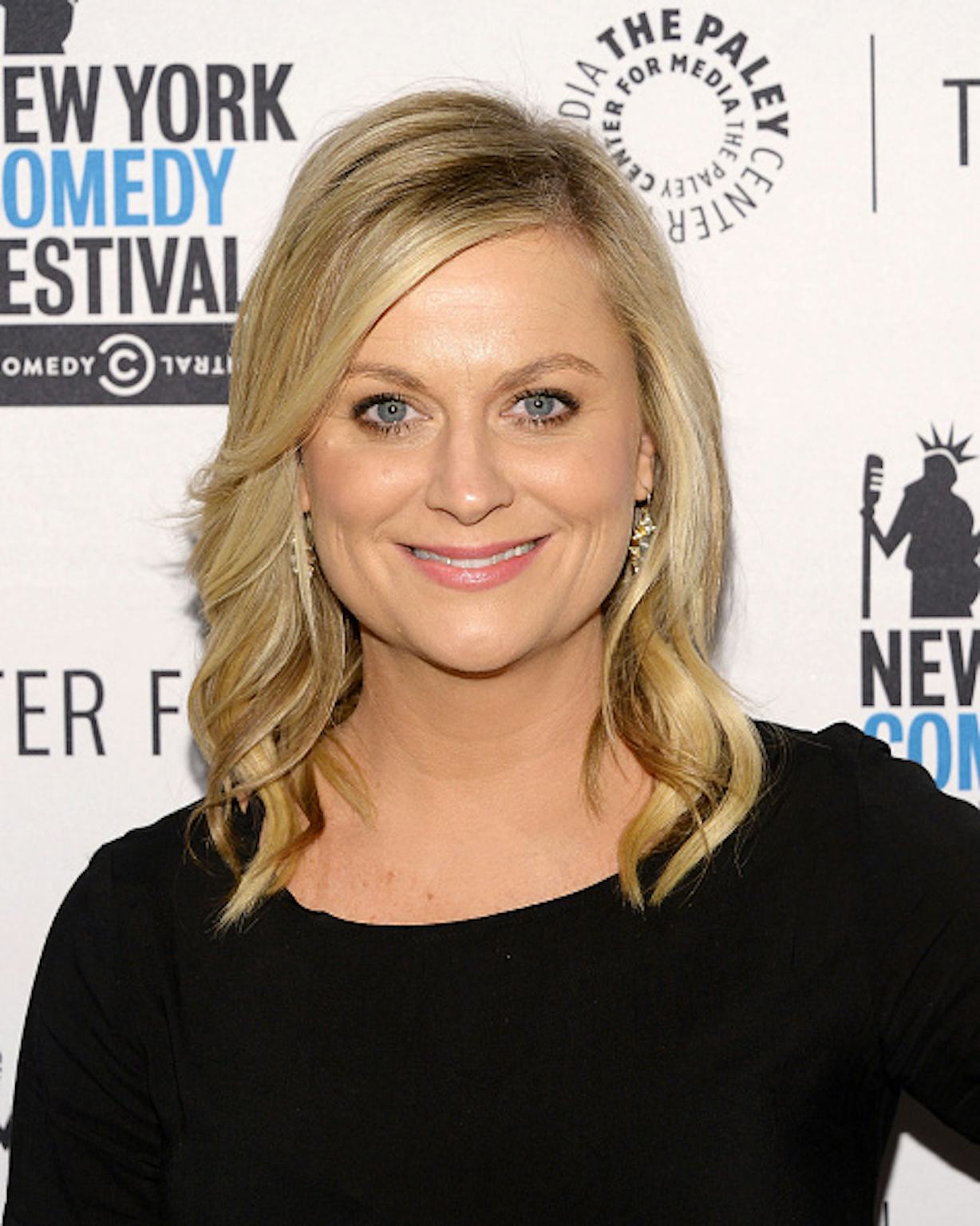 10 Reasons We Wish Amy Poehler Was In Our Online Mom Group 