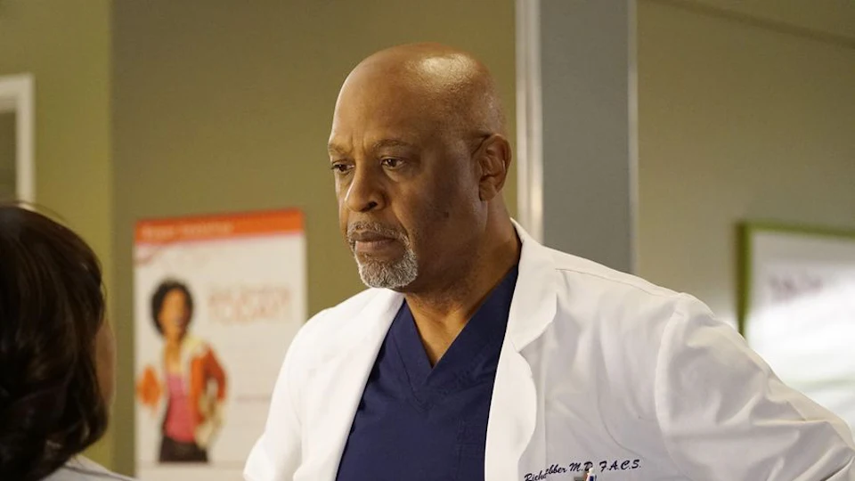 Personagem principal de Grey's Anatomy poderá morrer; Confira palpites - 5 Imagem relacionada