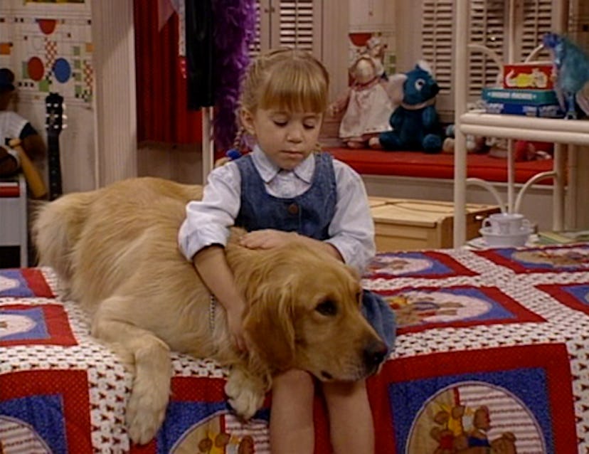 Comet, a minor 'Full House' character