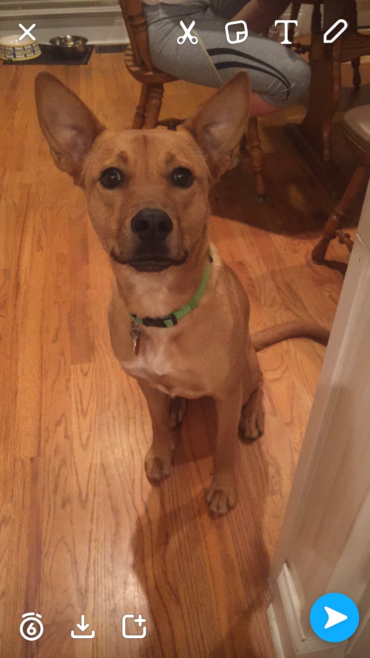 How To Use The Scissors Tool On Snapchat, Because The World Deserves To