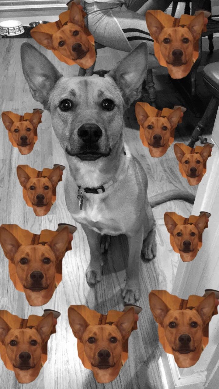 How To Use The Scissors Tool On Snapchat, Because The World Deserves To