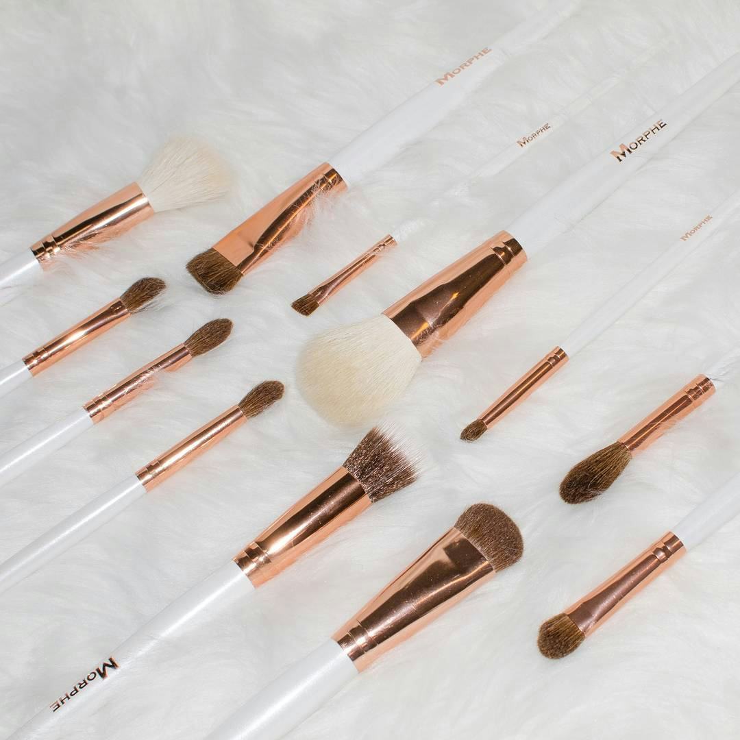 How Much Is Morphe’s Copper Dreams Brush Set? It's So Affordable