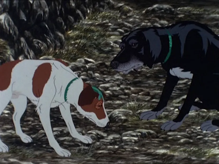 Rowf 11 Richard Adams Quotes To Remember The 'Watership Down' Author By