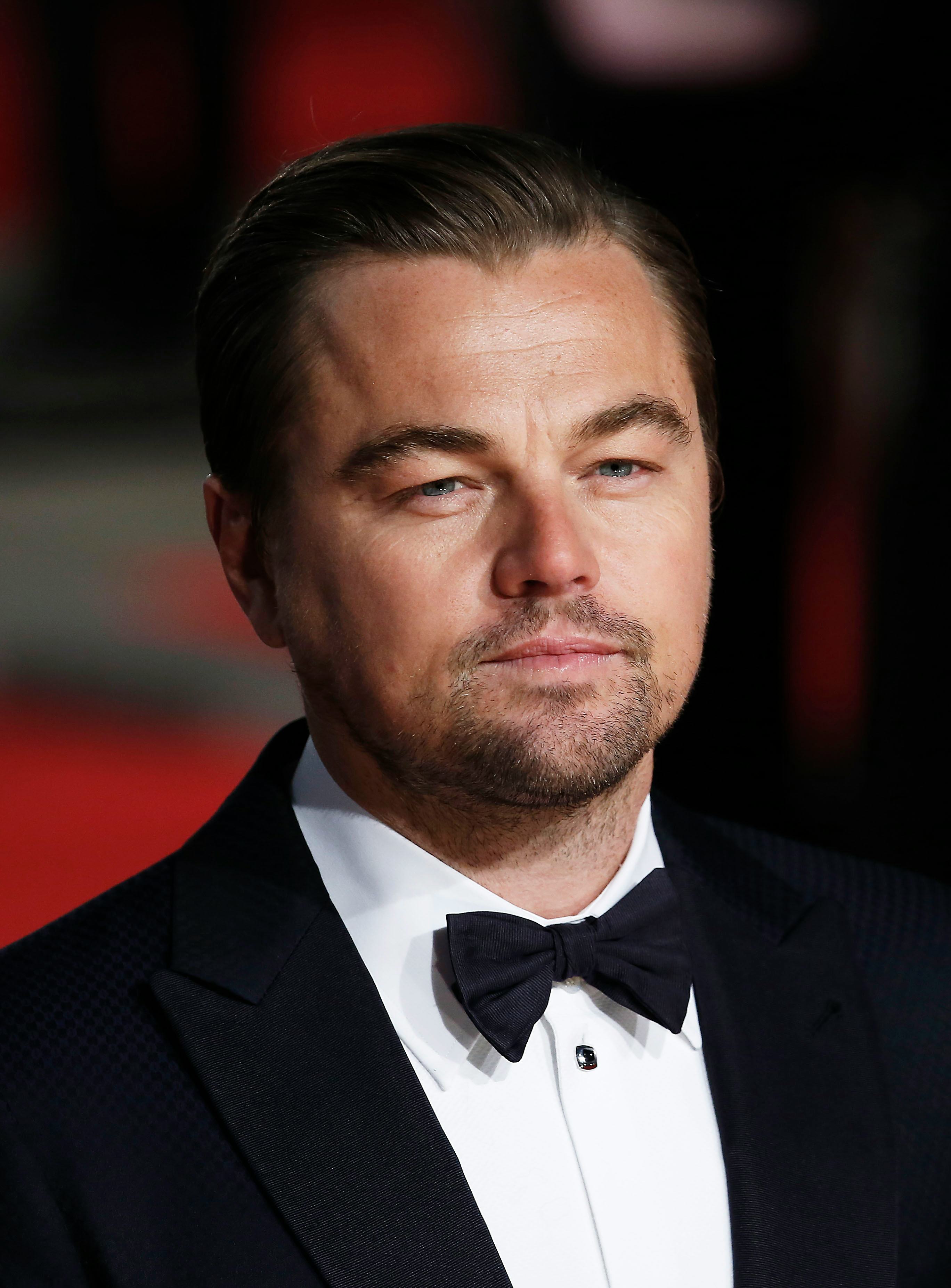 Leonardo DiCaprio Wins The Oscar & Everything Is Right With The World