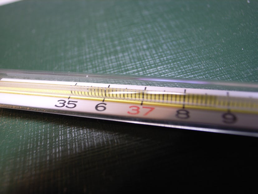 A thermometer showing basal body temperature