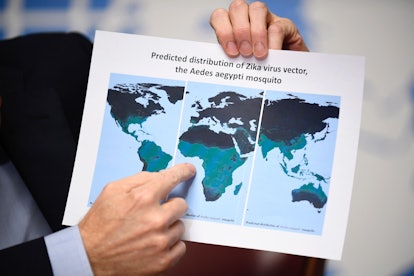 Predicted distribution of Zika virus vector, the Aedes aegypti mosquito