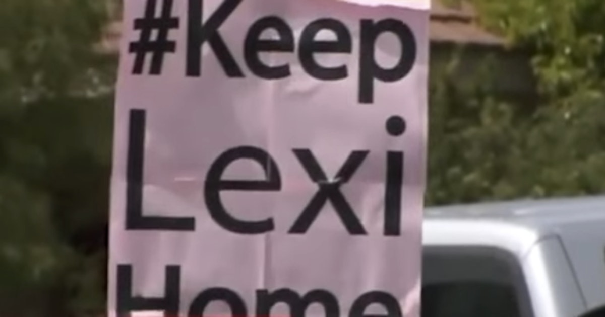What Will Happen To Lexi Of The "Save Lexi" Campaign? The Court