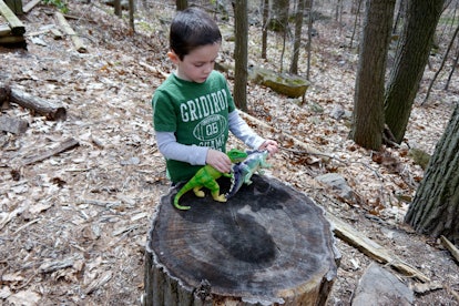Son of Sarah Clouser playing with dinosaur toys surrounded by trees 