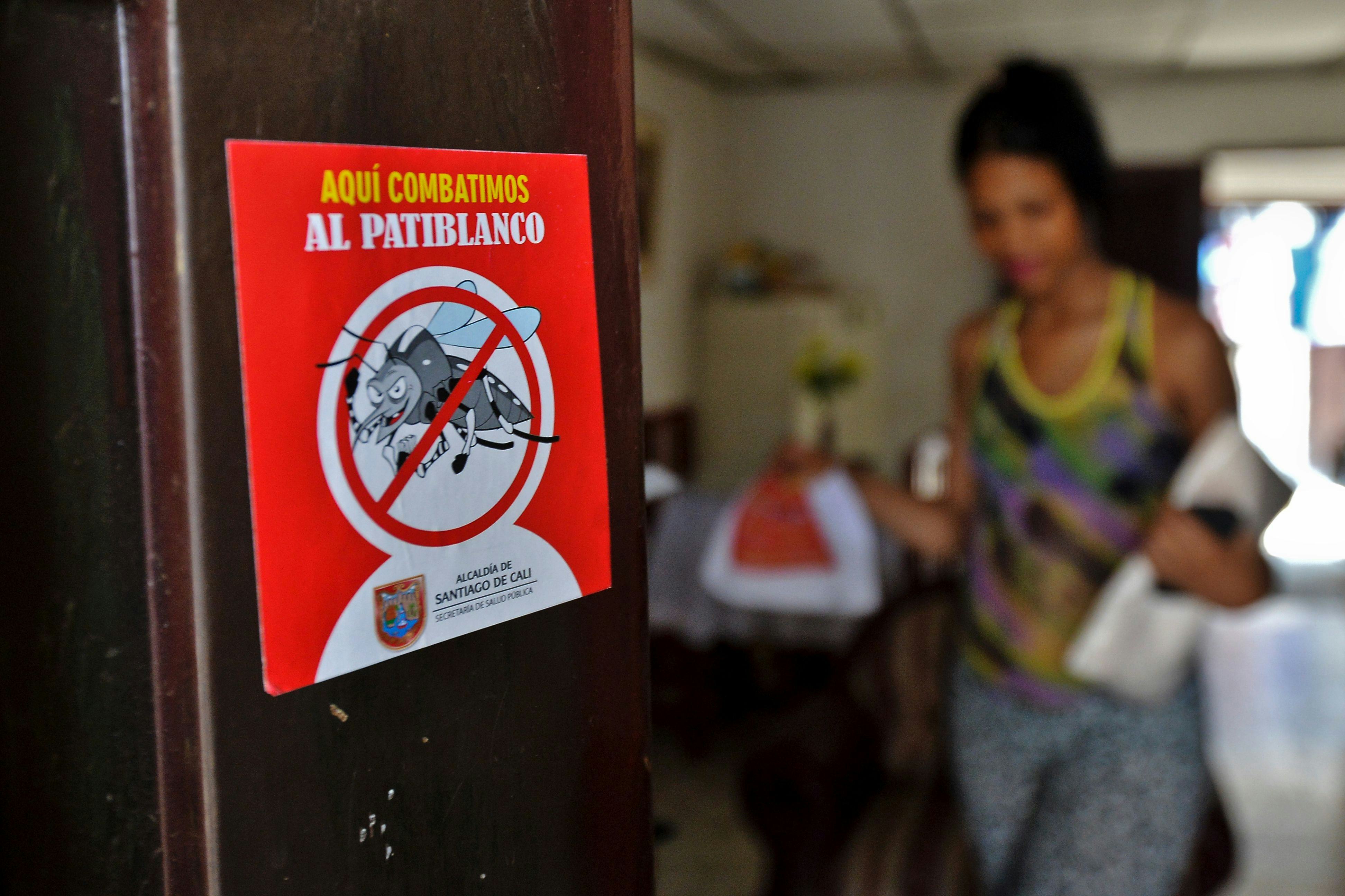 Is DEET Safe For Pregnant Women? Zika Is Worse & Bug Spray Is Necessary