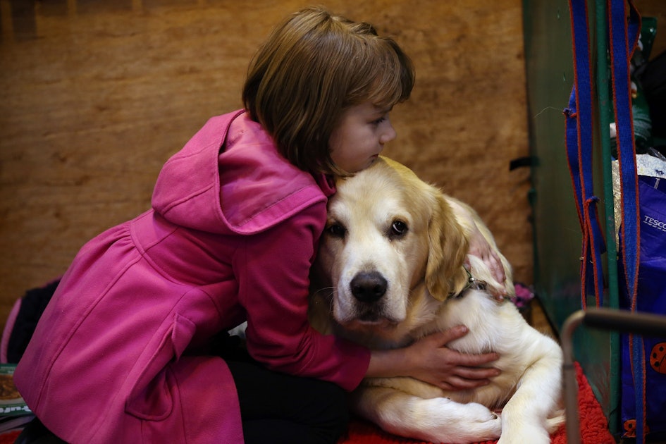 Let's Not Hug It Out With Our Dogs : NPR