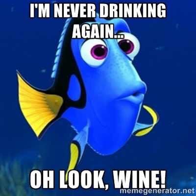 27 Wine Memes To Celebrate National Wine Day