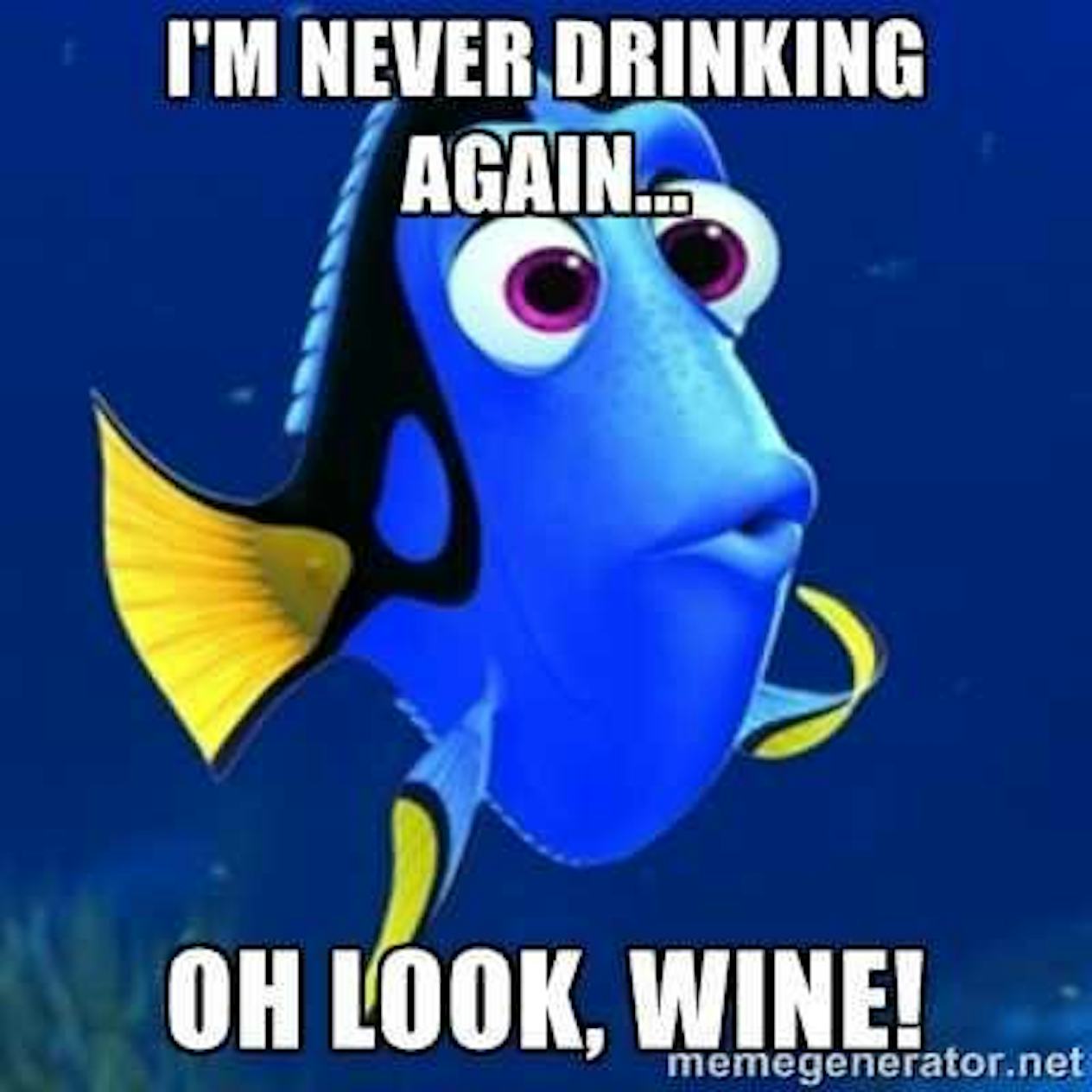 27 Wine Memes To Celebrate National Wine Day