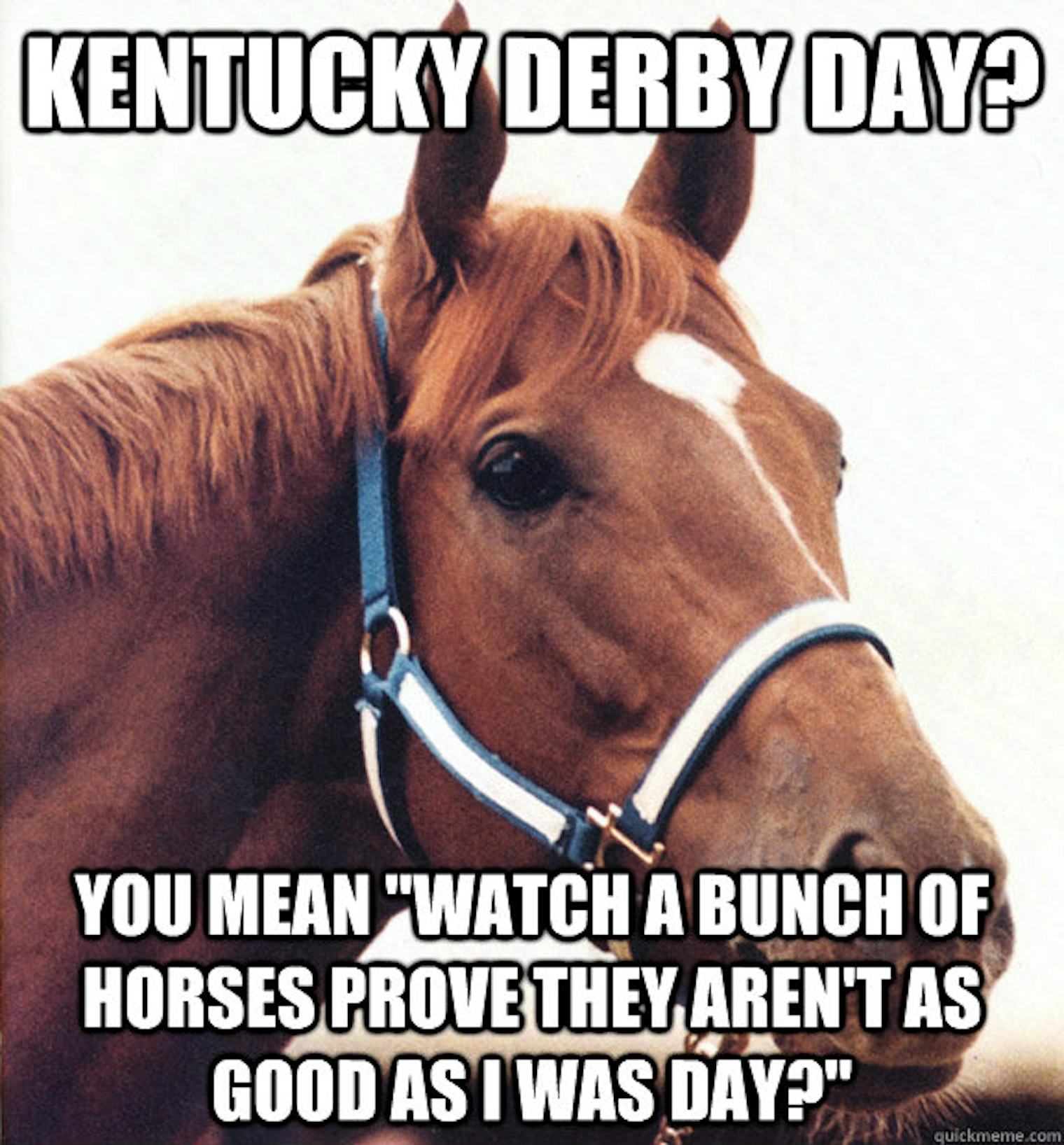 Kentucky Derby Memes & Jokes That Will Make Even Non-Racing Fans LOL