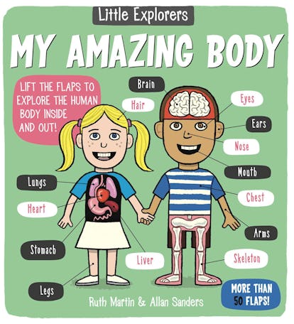 11 Books That Explain Anatomy To Your Kids Without Sugarcoating It