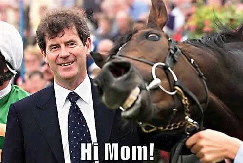 Kentucky Derby Memes & Jokes That Will Make Even NonRacing Fans LOL