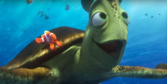 Will The Sea Turtles Be Back In 'Finding Dory'? Crush & Squirt Are  Definitely Fan Faves