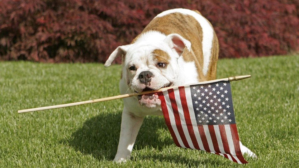 Fourth Of July 2019 Memes The Best Jokes On The Internet Heavy Com