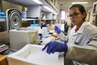 A woman working in the laboratory 