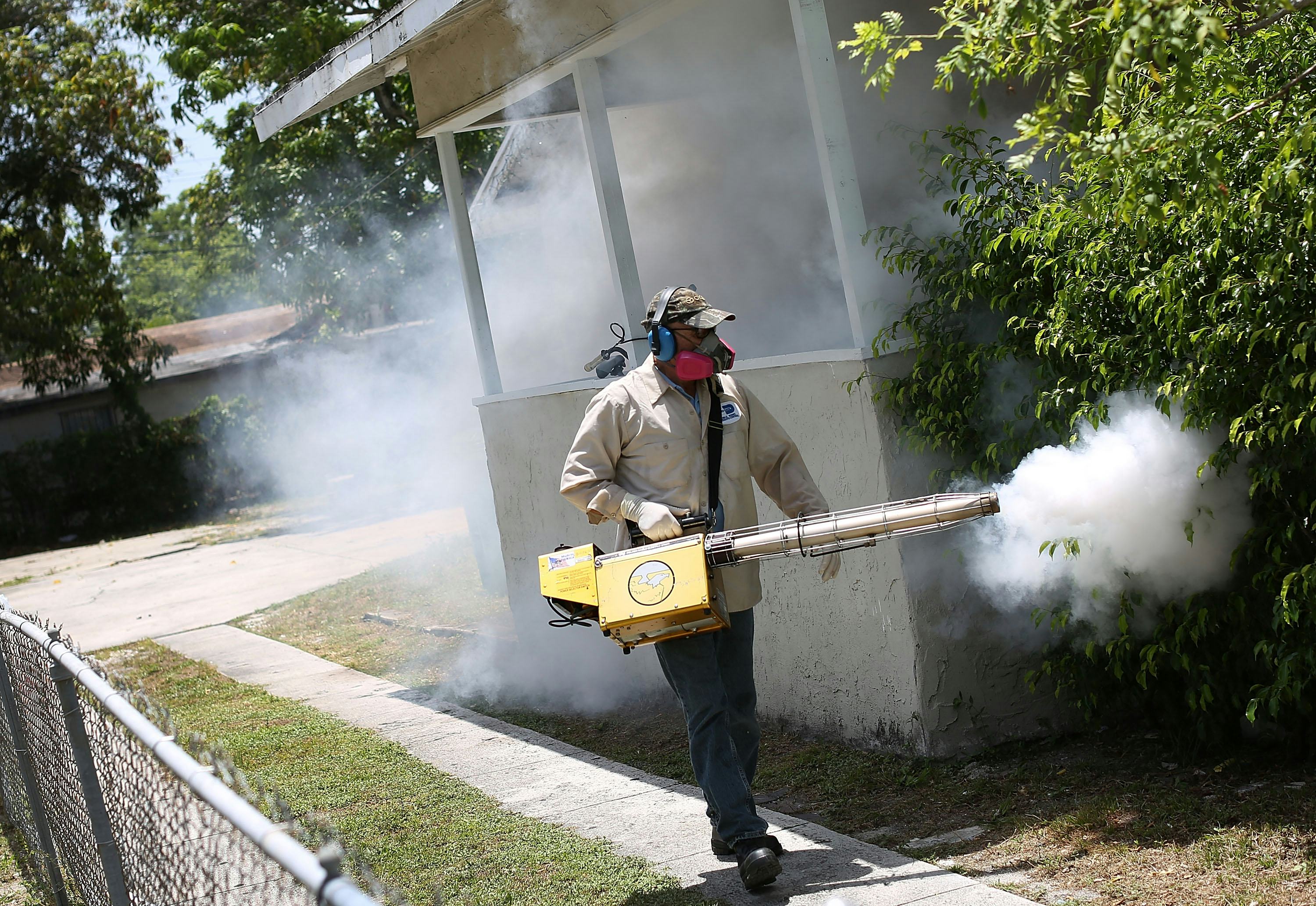 This Florida Zika Map Shows Where The Virus Is On The Rise   585211730 