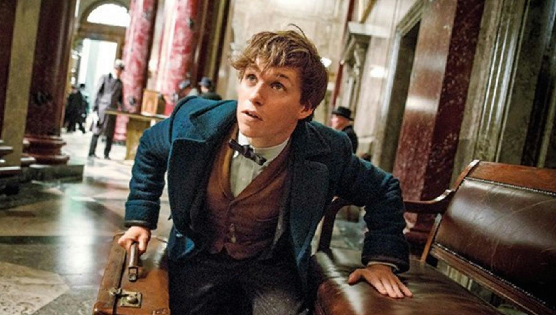 The 'Fantastic Beasts And Where To Find Them' Trailer Transports ...