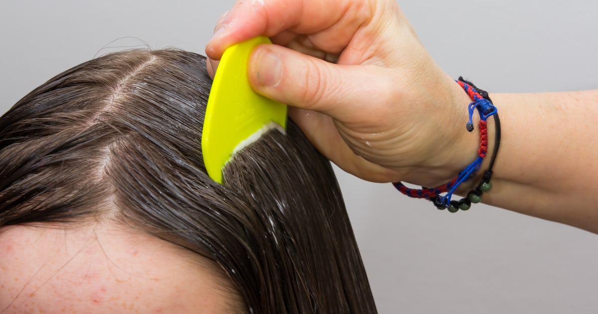 Шампуни против вшей: как правильно применять для лучшего результата