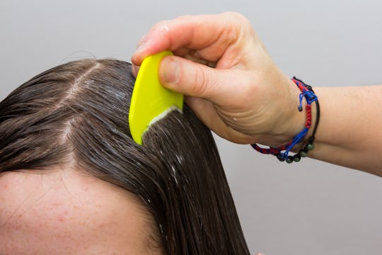 Is It Safe To Use Lice Treatments While Pregnant Is It Safe To Use Lice Treatments While Pregnant
