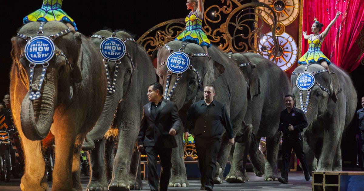 Where Is Ringling Bros Last Show The Circus Will Close In May Ringling Brothers Circus Schedule 2022