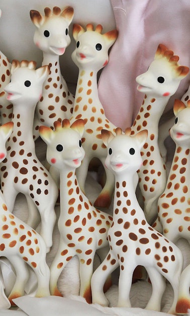 Don't Panic Over That Sophie the Giraffe Mold