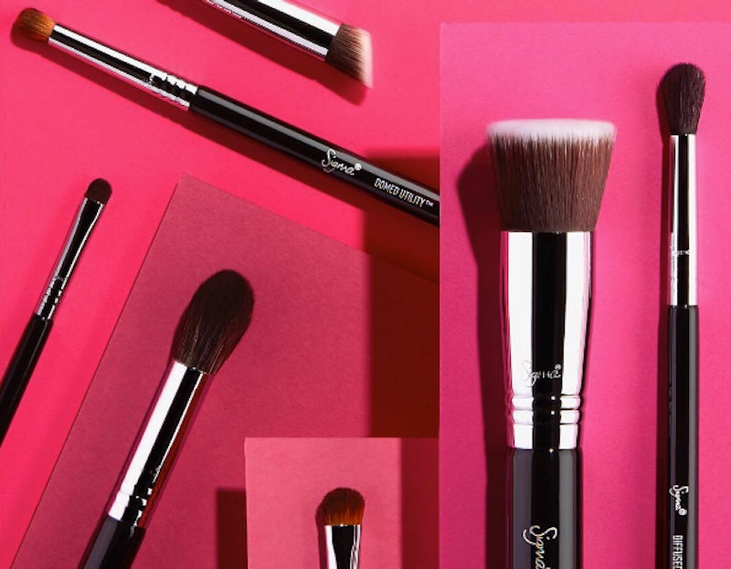 Is The Best Of Sigma Brush Set Worth It