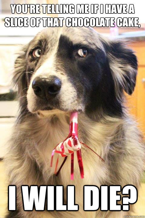 Memes About Chocolate Cake For Chocolate Cake Day That Will Make You