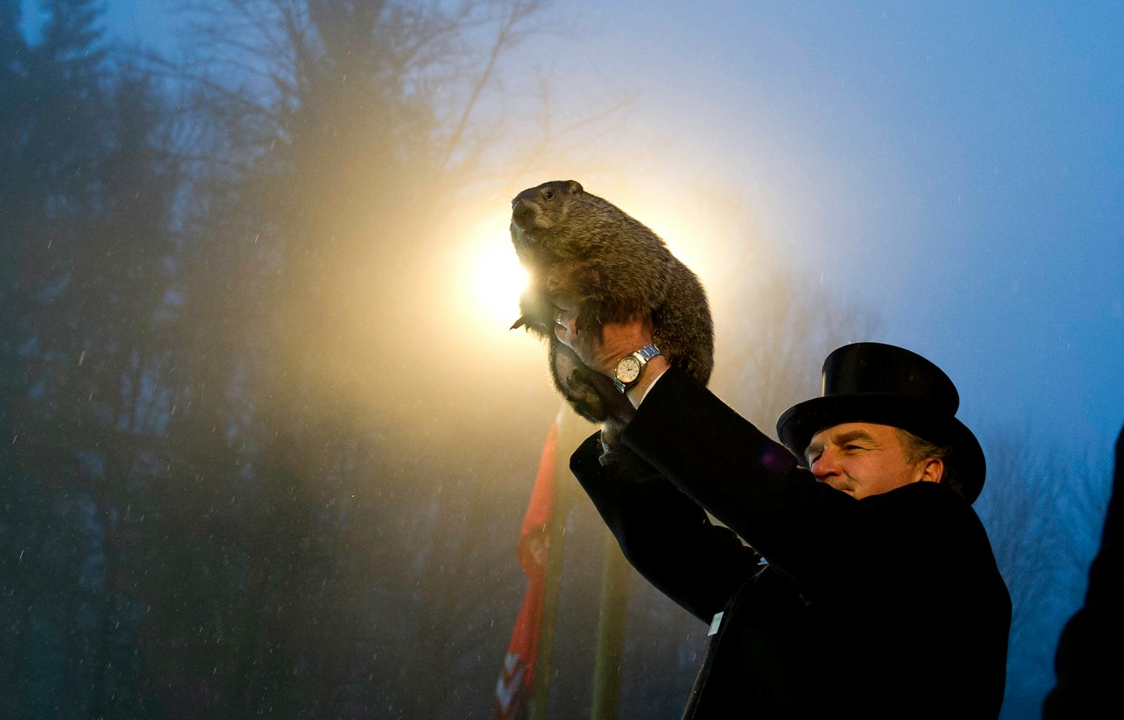 How To Celebrate Groundhog Day & Honor The Most Hilarious Tradition In