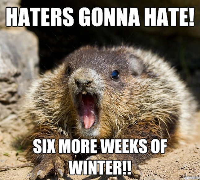 Groundhog Day Memes For 2017, In Hopes That His Shadow Doesn't Scare Him