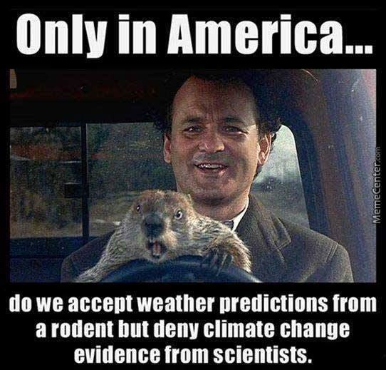 Groundhog Day Memes For 2017 In Hopes That His Shadow Doesn T Scare Him   B5bd7685 Ed33 4f5a 8c22 F836bc15eab6 