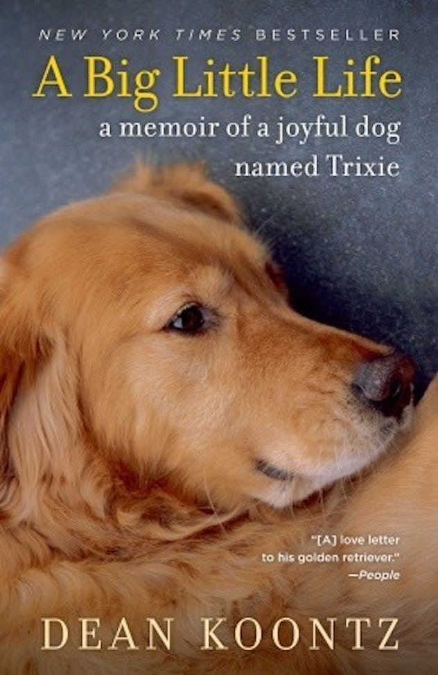 11 Heartwarming Books For DogLovers