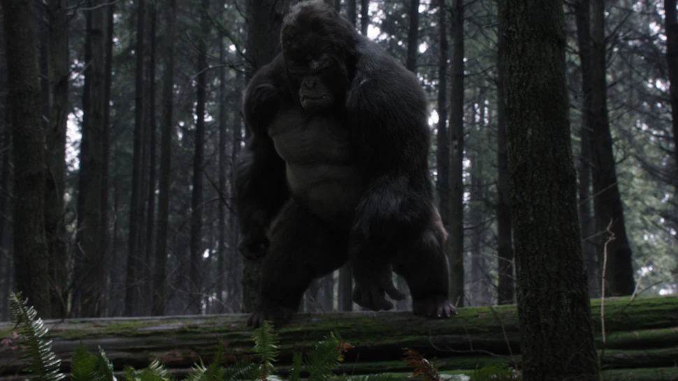Who Voices Gorilla Grodd On 'The Flash'? David Sobolov Has Brought Many ...