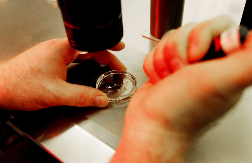 Why IVF & EggFreezing Should Be Covered By Health Insurance Why IVF & EggFreezing Should Be Covered By Health Insurance