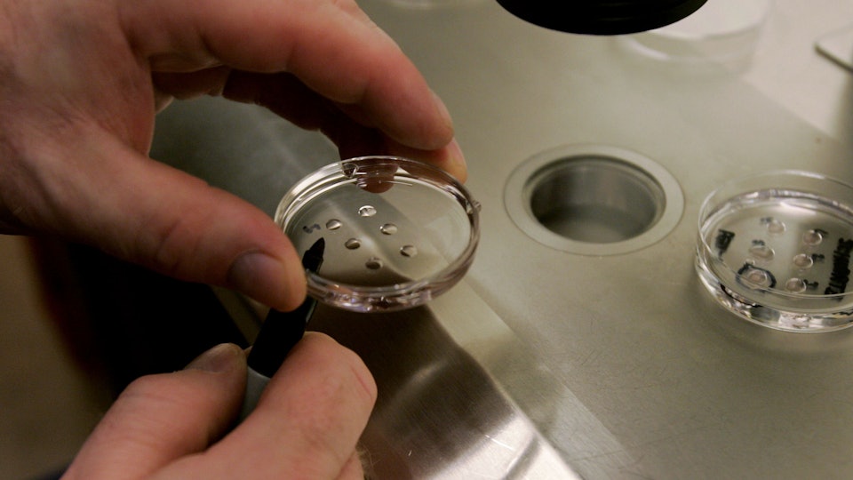 Why IVF & EggFreezing Should Be Covered By Health Insurance Why IVF & EggFreezing Should Be Covered By Health Insurance