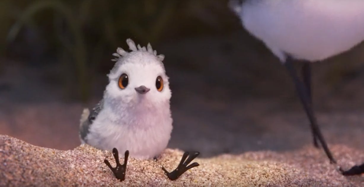 Where To Watch 'Piper,' The Adorable Oscar Nominated Animated Short Film