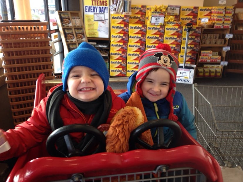 Two toddlers sitting in a shopping card