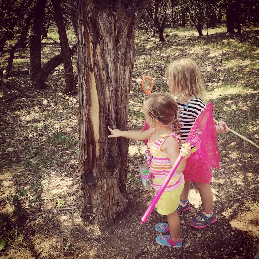 Two little girls watching the tree in the forest while in summer clothes and holding nets for catchi...