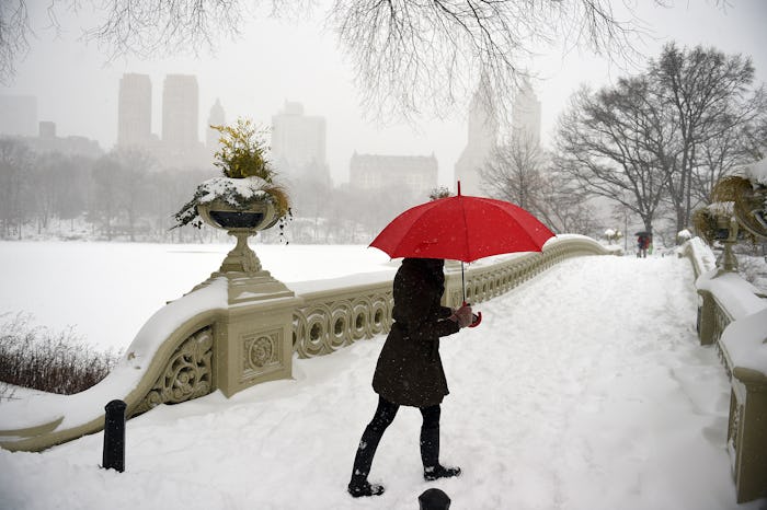 A woman walking in the Central Park full of snow with a red umbrella