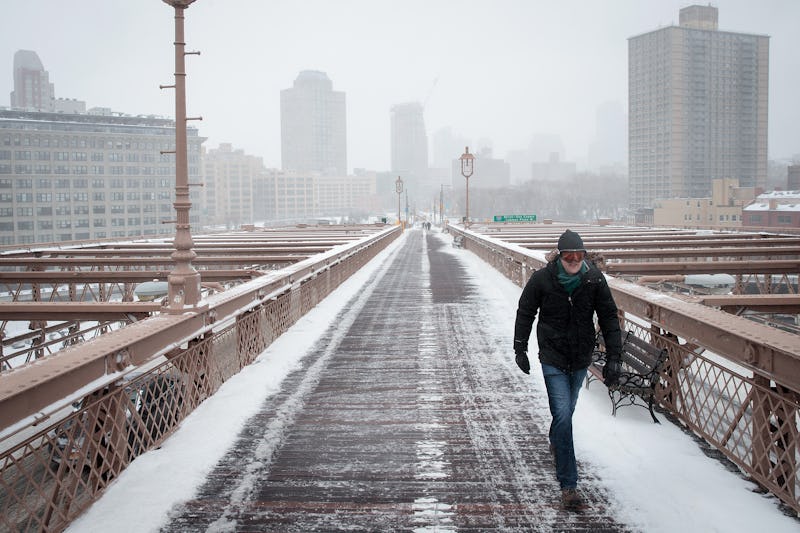 How Much Snow Did New York Get? Winter Storm Stella Fell Short Of The Hype