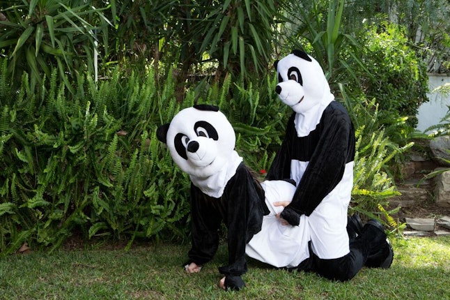 Why Pornhub Wants You To Have Sex In A Panda Costume Today