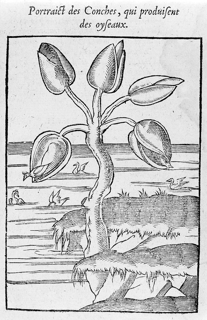 The Spring Equinox's Extremely Weird History