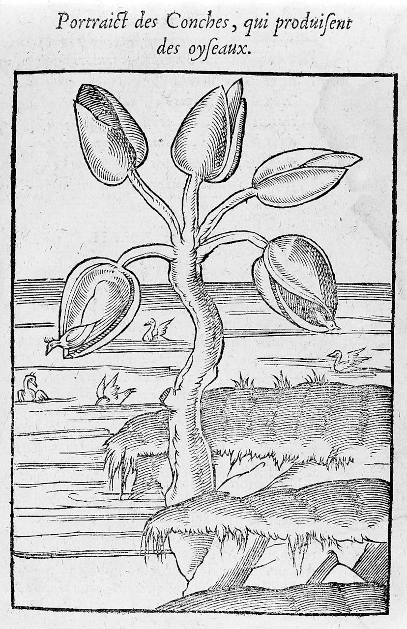 Spring Equinox Ravilious The Spring Equinox's Extremely Weird History