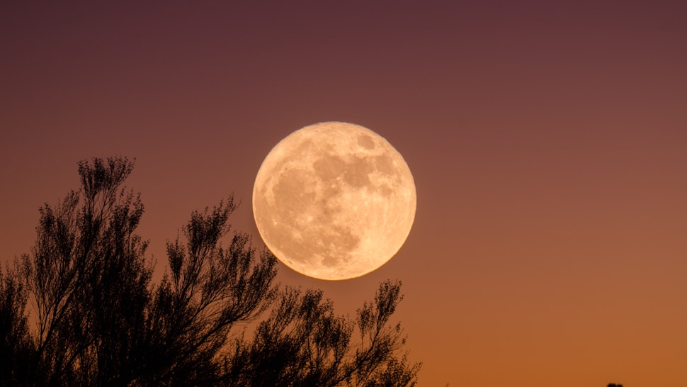 What Does The Pink Moon Mean Here S You Need To Know About What Does The Pink Moon Mean Here S You Need To Know About April Full