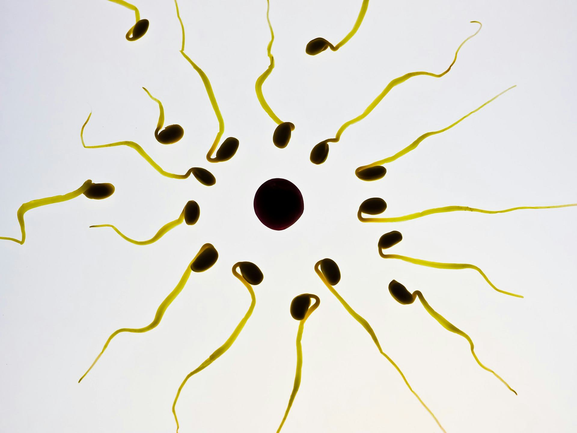 Can A Sperm Allergy Cause A Miscarriage? Here's What You Need To Know